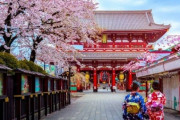 韓国人「日本人が韓国旅行に行かない理由は何でしょうか？」その理由がこちらです‥ﾌﾞﾙﾌﾞﾙ　韓国の反応