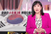 韓国人「台湾放送局が韓国の太極旗にコロナウイルスCG処理をして放送し、韓国人が激怒！」→「本土チャンケも島チャンケも同じ！」　韓国の反応