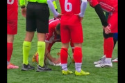 【海外】「サッカーボールでひなわりしたカモメ、選手が心肺蘇生術で優しく復活させる瞬間に感動！【動画】」