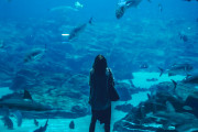 日本の「人生ナンバーワンの衝撃度のトイレ」が絶対に落ち着かないと話題に！【タイ人の反応】