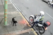 【海外】「交通警官、孤独な野良犬への心温まる優しさをカメラが捉えた！」