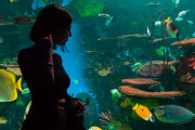 日本人「水族館に行ったらエイとコーデかぶってた」【台湾人の反応】