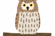 「全力で走るフクロウを見たことある？」衝撃的な姿が目撃される