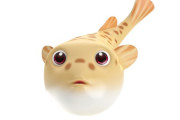 海外「日本にいる魚も禅の概念があるの？」日本の文化や芸術に適合してると納得する外国人