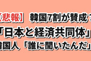 【悲報】韓国メディア「韓国人の7割が“日本と経済共同体”に賛成」→ 韓国人「誰に聞いたんだ」