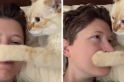 猫「ねぇ鼻・鼻・鼻…ご主人の鼻と僕の鼻をくっつけてゴシゴシしたいの」