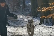 長年シェルターで暮らしていたシニア犬、最高のご主人様との出会いで活力を取り戻し若返る