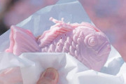 外国人「日本には桜をテーマにした商品がこんなあるらしいぞ！」