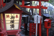 京都の嵐山で！お寺巡りや作法、ビーガンフードと人力車をでの竹林散策を体験。後編