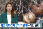 【悲報】韓国で奇形じゃがいもが大量発生！韓国が開発したジャガイモ品種に裂ける現象が起こってしまう‥　韓国の反応