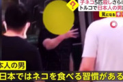 【韓国の反応】トルコで猫5匹を捕食した日本人「故郷の風習」を主張。韓国の反応「一人の過ちで国のイメージが一瞬にして奈落に落ちた。」