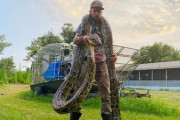 米国の蛇ハンター、体長５m超の巨大ヘビと素手で格闘し捕獲！ 映像がヤバすぎ！！