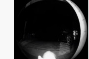 【世界の衝撃映像】真夜中の予期せぬ訪問者
