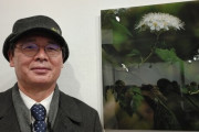 韓国人「日本の桜ソメイヨシノは『韓国花』、『王桜』は韓国の自生種」「倭色の濡れ衣、韓国の桜を愛すべき」　韓国の反応