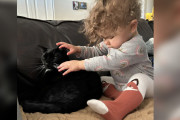 【海外】視覚障害の幼児と頼もしい「見守り猫」の絆が深まる瞬間とは？