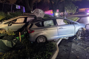 【衝撃】自動車が大木にぶつかり縦に真っ二つに割れる衝突事故！ 今年最も恐ろしい光景と話題に