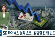 韓国人「もう韓国経済は滅びたんですか？」「日本が韓国経済の首輪を握っている」半導体SKハイニックスの業績が急落！　韓国の反応