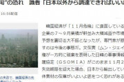 日本メディア「韓国経済が奈落の底に沈没する危機！」韓国経済11月危機説、GSOMIAの破棄、半導体素材の枯渇の恐怖　韓国の反応