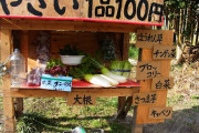 韓国人「日本だけですね、こんなのが普通に行われてるのは」