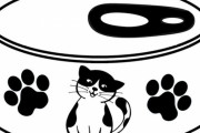 「野良猫にエサをあげたら窓にねだりに来るようになった、今日はこんな感じ…」痛いほどの視線
