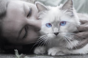 頭を撫でさせてくれるのに8年もかかった元野良猫だけど、実は飼い主の知らないところで...感動の猫愛物語