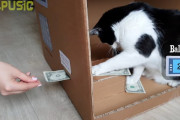 入金専用ですニャ！ダンボールで猫搭載ATMを作ってみたらこうなった！