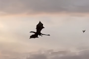 異世界に来ちゃった？イギリスの空を舞うリアルなドラゴンが目撃されて大騒ぎ