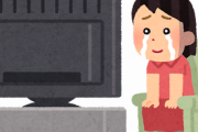 海外「ちょうど一年前、最高のアニメの放送が終わった」