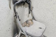 「党籍を調べろ」と怒りまで、韓国アパート5階分に放火した20代女へ厳罰要求が噴き出す