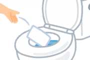 韓国人「韓国ほどトイレがきれいな国はなかなかないと思います」