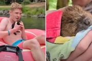 【海外】カワイイ赤ちゃんビーバー、ティーンの腕に飛び込んで救助求める！コウイチャンリバーの感動エピソード