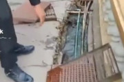 韓国人「東南アジアの下水道からとんでもないものが現れた件」