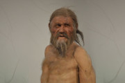 【海外】「ミイラの秘密発見！ÖtziのDNAが明かす新しい遺伝子系統とは？」