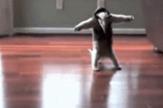 投稿者「この動画にふさわしいタイトルをつけてくれｗ」