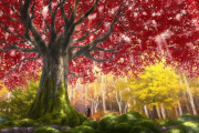 アニメ「無職転生」第３話に対する海外の反応（感想）