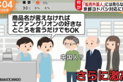 中国人の転売屋が激怒　ヨドバシ「エヴァの好きな所を言えないとフィギュア売れない」