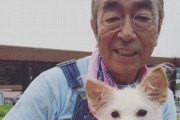 韓国人「（緊急速報）日本の伝説的コメディアン志村けん、新型コロナで死亡」