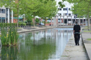 【巧妙な罠】水性植物が水辺をびっしり覆い尽くした光景が話題に！ 道路にしか見えず落水事故が相次ぐｗｗｗｗ