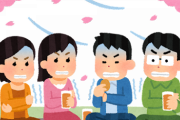韓国の桜の専門家、ソメイヨシノは韓国に自生していて日本に伝わったとナゾ主張