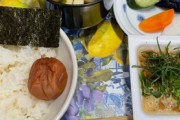 日本食が大好きなガイジンさん「ママが毎朝つくってくれた日本風の朝食がコレさ」
