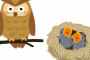 フクロウがアヒルを間違って育ててしまう…この後いったいどうなるの？