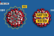 韓国政府が導入を検討しているアビガン、その効果は？＝韓国の反応