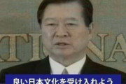 韓国人「正直、日本文化がなければ人生終わってた」