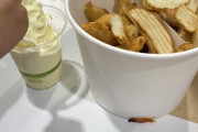 外国人「日本のコストコのフードコート、コスパが良すぎる」