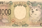 外国人「日本人が考案した理想の新紙幣デザインを見てみよう」