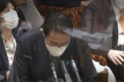 【韓国の反応】日本の対ロシア制裁、逆風が始まる。ロシア「日本と平和条約交渉中断」…韓国の反応「中立外交を知らないのか。日本に核爆弾を一つ飛ばして。」