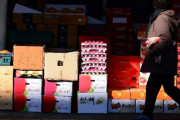 韓国人「韓国は今後、”失われた30年”に突入するだろう」