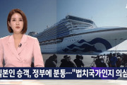【韓国の反応】クルーズ船の日本人の乗客、政府に憤り…「法治国家なのかどうか疑わしい」