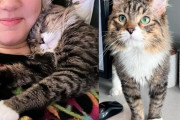 【海外】「保護猫を温かい家に迎え入れた女性、猫はそのまま居座ることに決めた理由とは？」