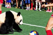 中国人「中田英寿、Globe Soccer Awards 2025を受賞！」　中国人「史上最高のミッドフィールダー」「服のセンスも教祖レベル」